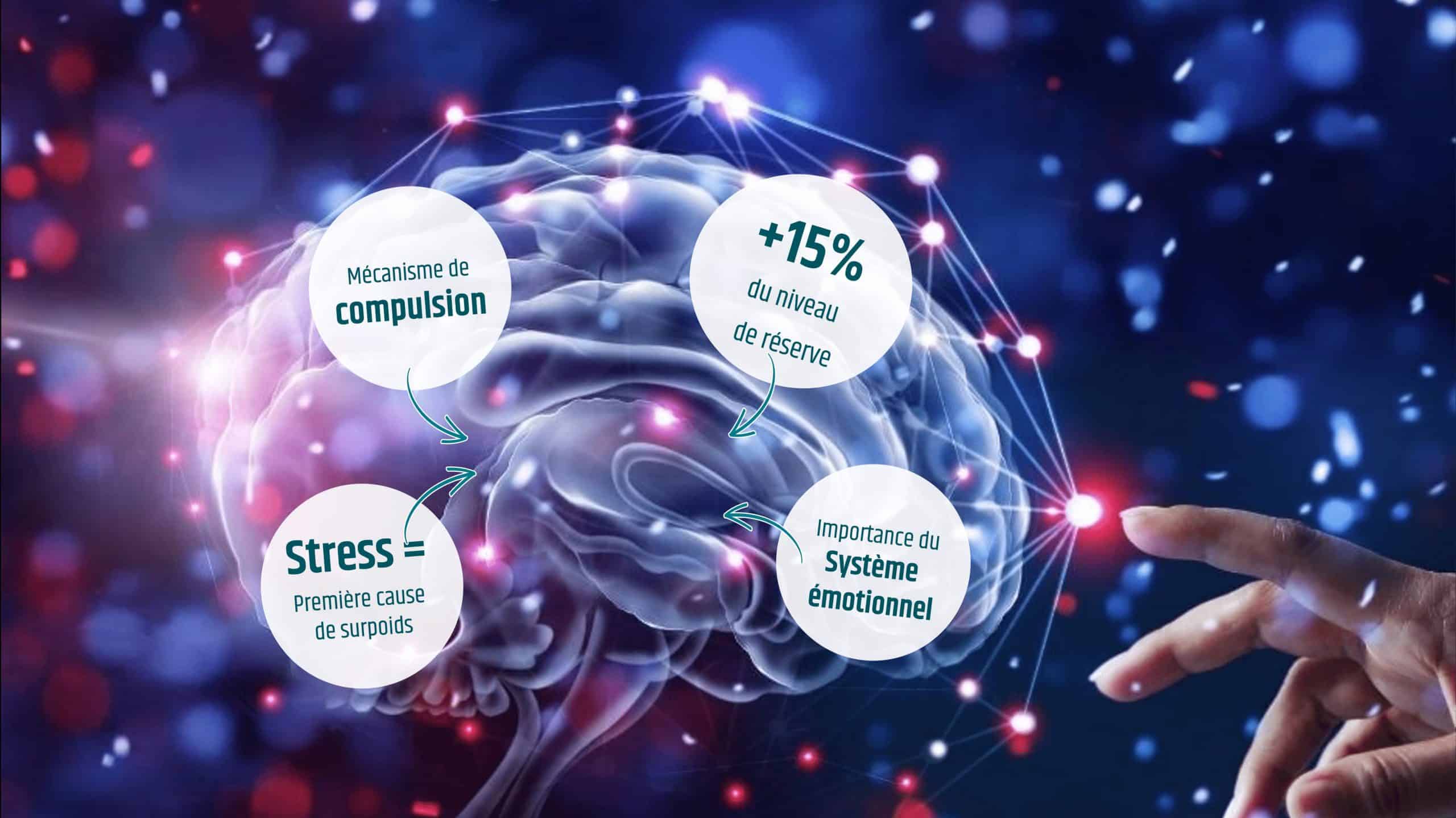 Apport neurosciences