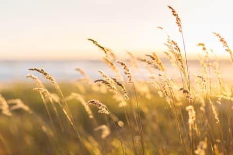 Retraite spirituelle intime “Terre Originelle” du 5 au 16 août 2022