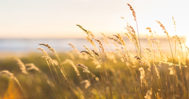Retraite spirituelle intime “Terre Originelle” du 5 au 16 août 2022