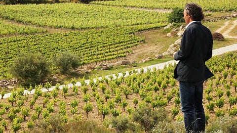 Le vin comme mémoire du terroir