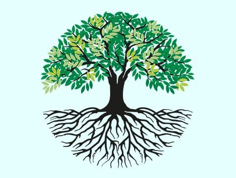 Séminaire « Arbre de vie » d’Arkady Petrov, animé par Roman Gireylo