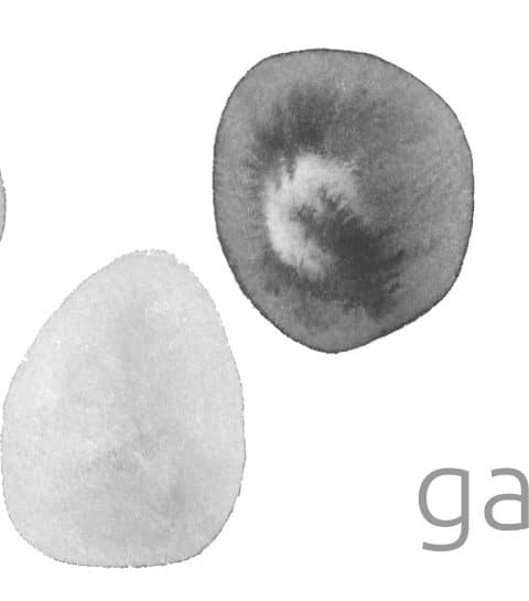 Galini Yoga – Stages de Yoga, Formations, Retraites