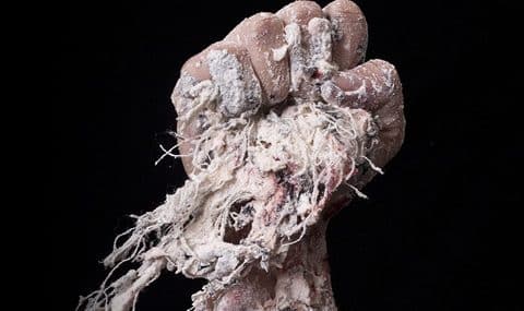 L’Image Possible, une biennale pour explorer le “devenir-image” du monde