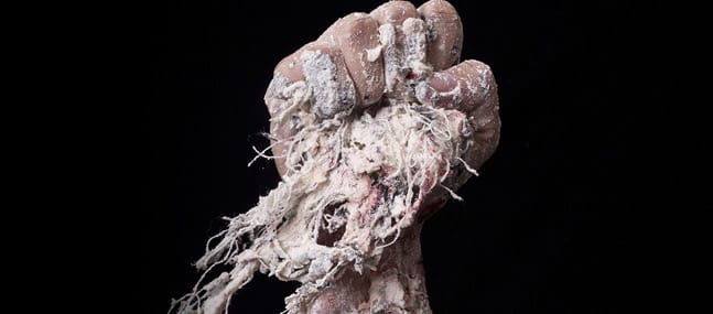 L’Image Possible, une biennale pour explorer le “devenir-image” du monde