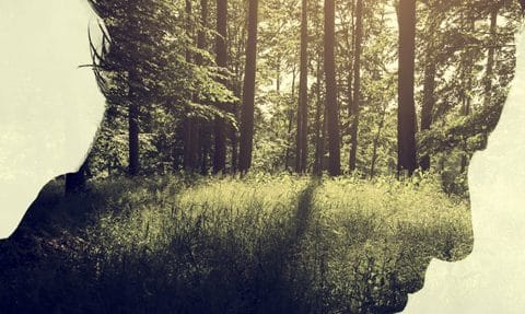 Combien de temps faut-il pour que la pleine conscience agisse sur notre cerveau?