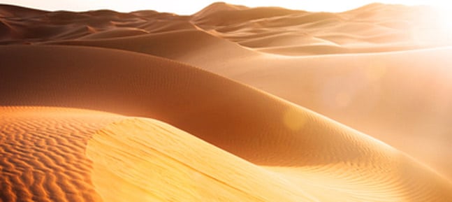 La route initiatique. Du désert à l’Inde des sages