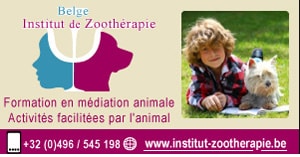 Formation en zoothérapie avec chien