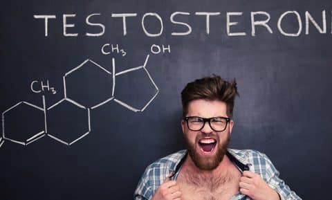 La testostérone, ce boosteur de confiance !