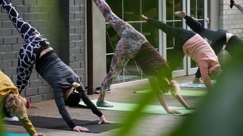 Quel yoga choisir ?