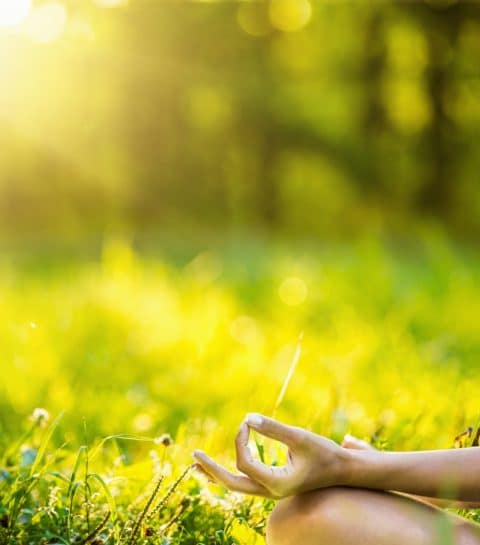 Académie de méditation : devenir soi-même, authentique et vrai