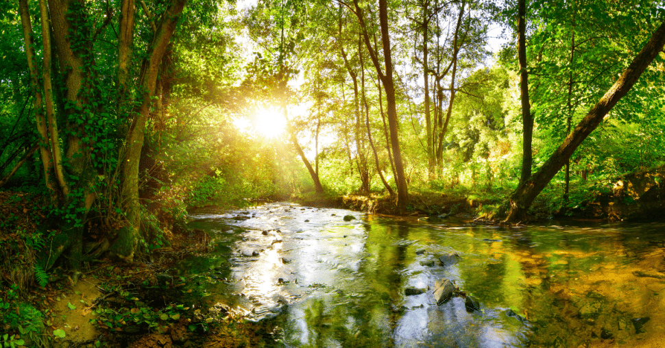 3-30-300 : la juste dose de nature ?