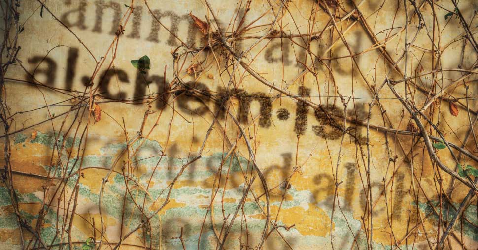 14 aug.Alchemistenreis in Andalusië
