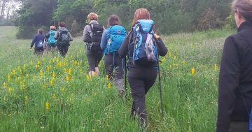 Onder vrouwen naar Compostela