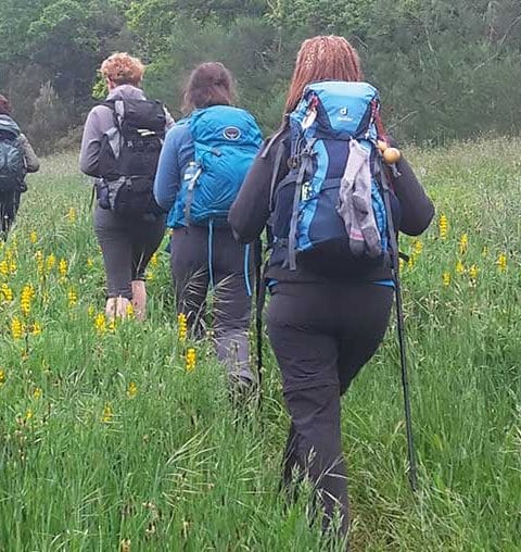 Onder vrouwen naar Compostela