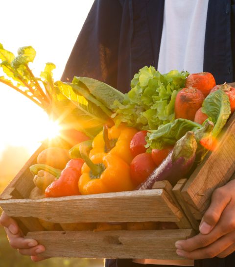 Ontdek het Koreaanse superfood dat je bloedsuiker drastisch verlaagt
