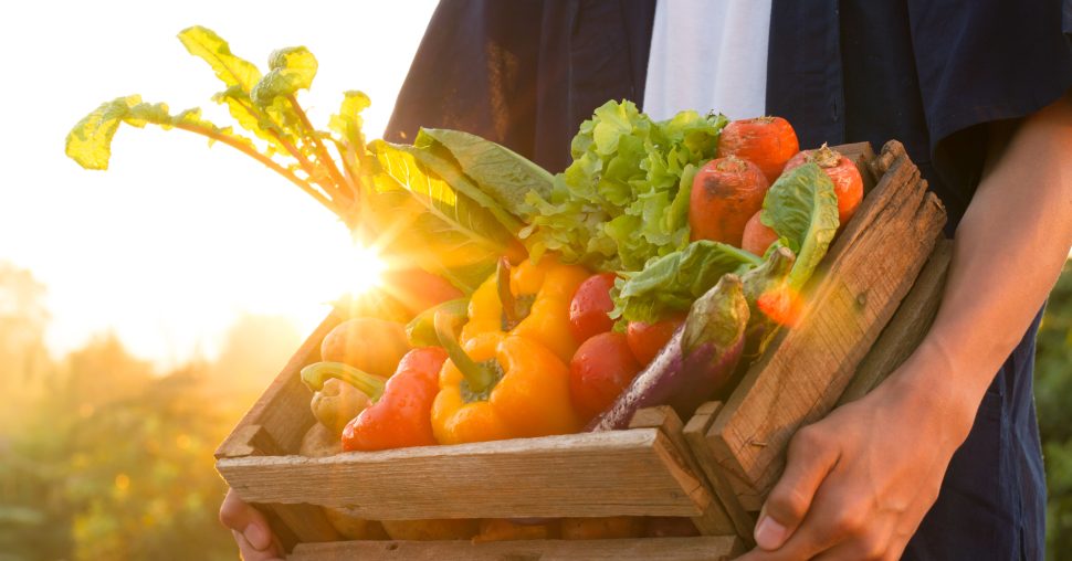 Ontdek het Koreaanse superfood dat je bloedsuiker drastisch verlaagt