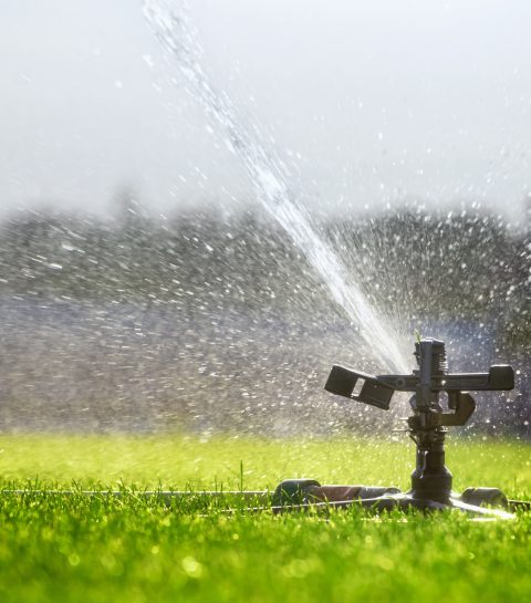 Ontdek de tuinregel 70/30 die elke Belgische tuinier moet kennen!