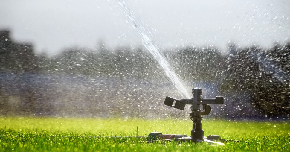 Ontdek de tuinregel 70/30 die elke Belgische tuinier moet kennen!